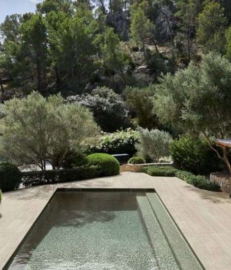 Garden pool framed by olive trees