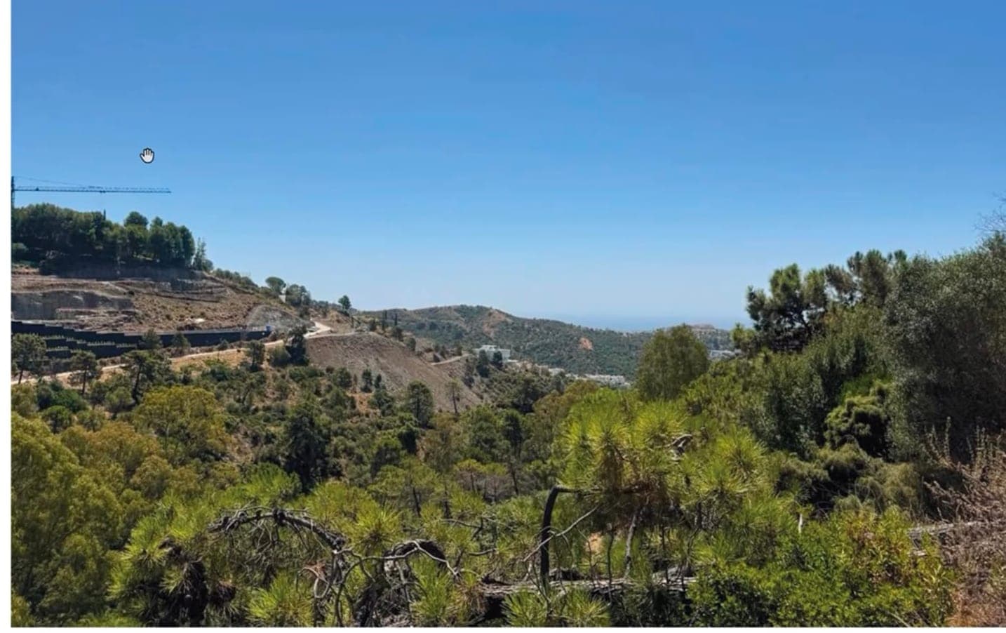 The unedited view south from the plot at level +183 m